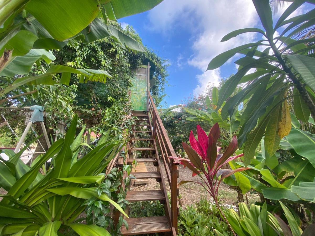 Gites Titanse, La Cabane Dans L Arbre Cadet  Exterior foto